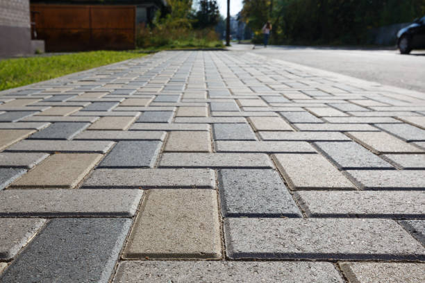 Best Professional Driveway Pavers  in Paradise, NV